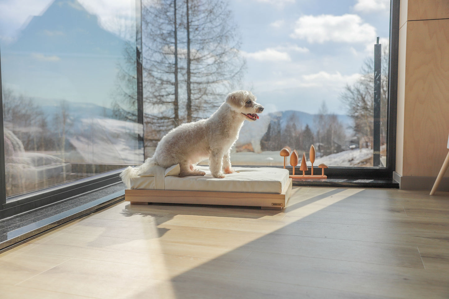pet bed No.03