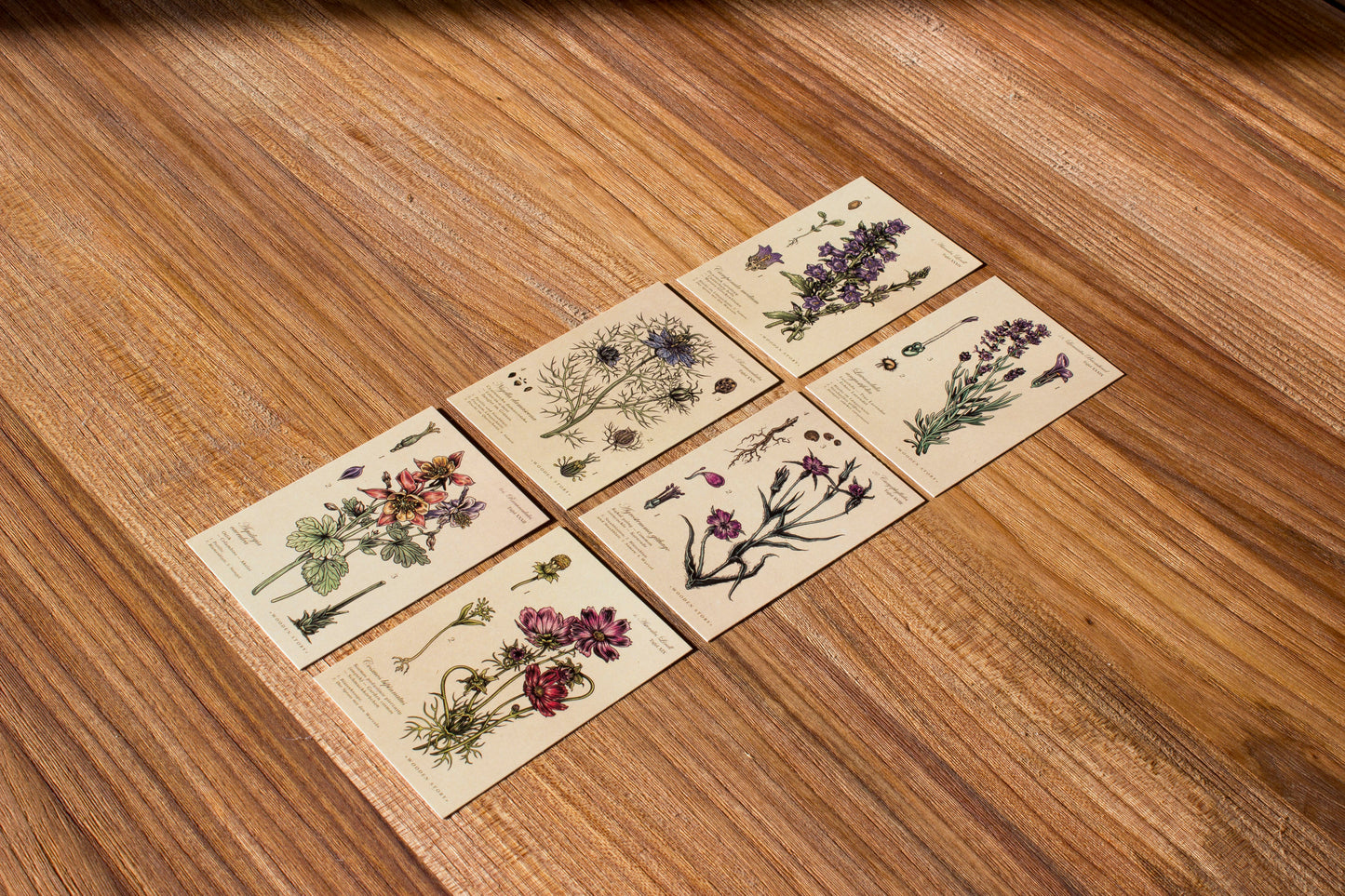 Puzzle Blocks - Melliferous Plants