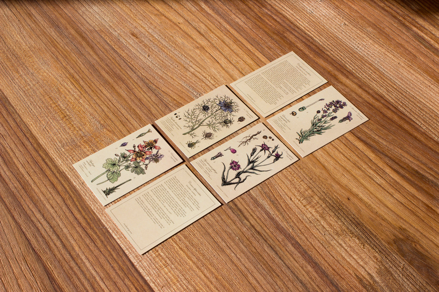 Puzzle Blocks - Melliferous Plants