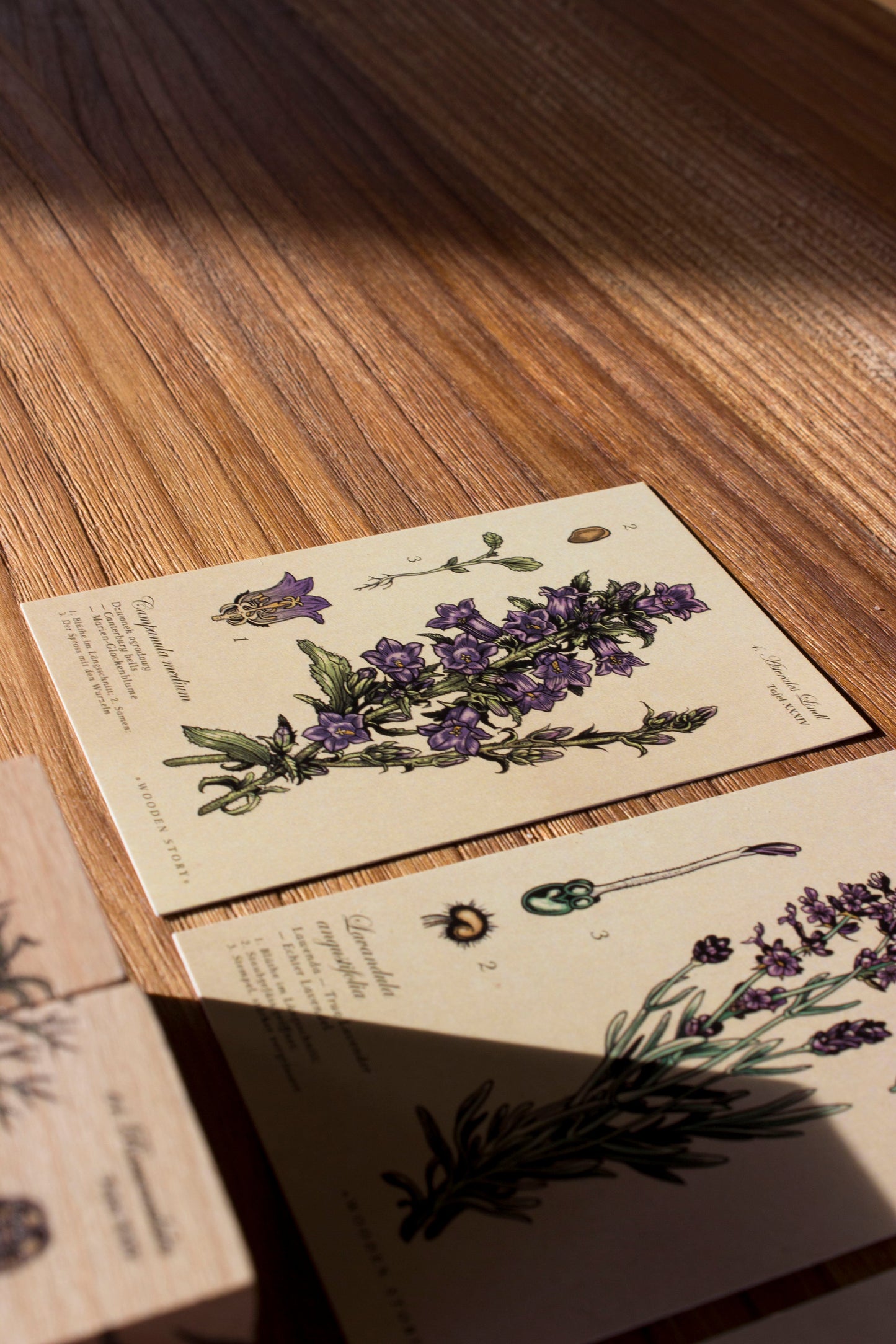 Puzzle Blocks - Melliferous Plants