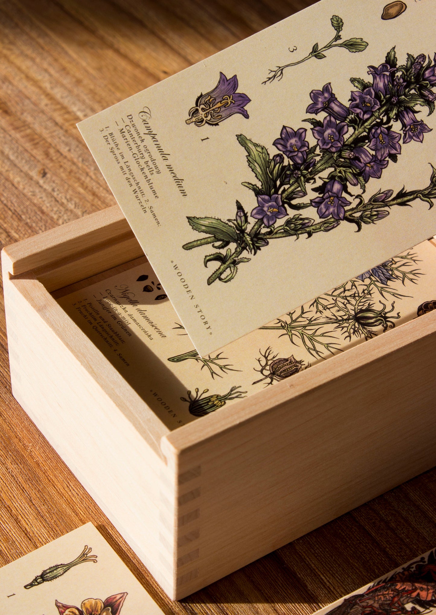 Puzzle Blocks - Melliferous Plants