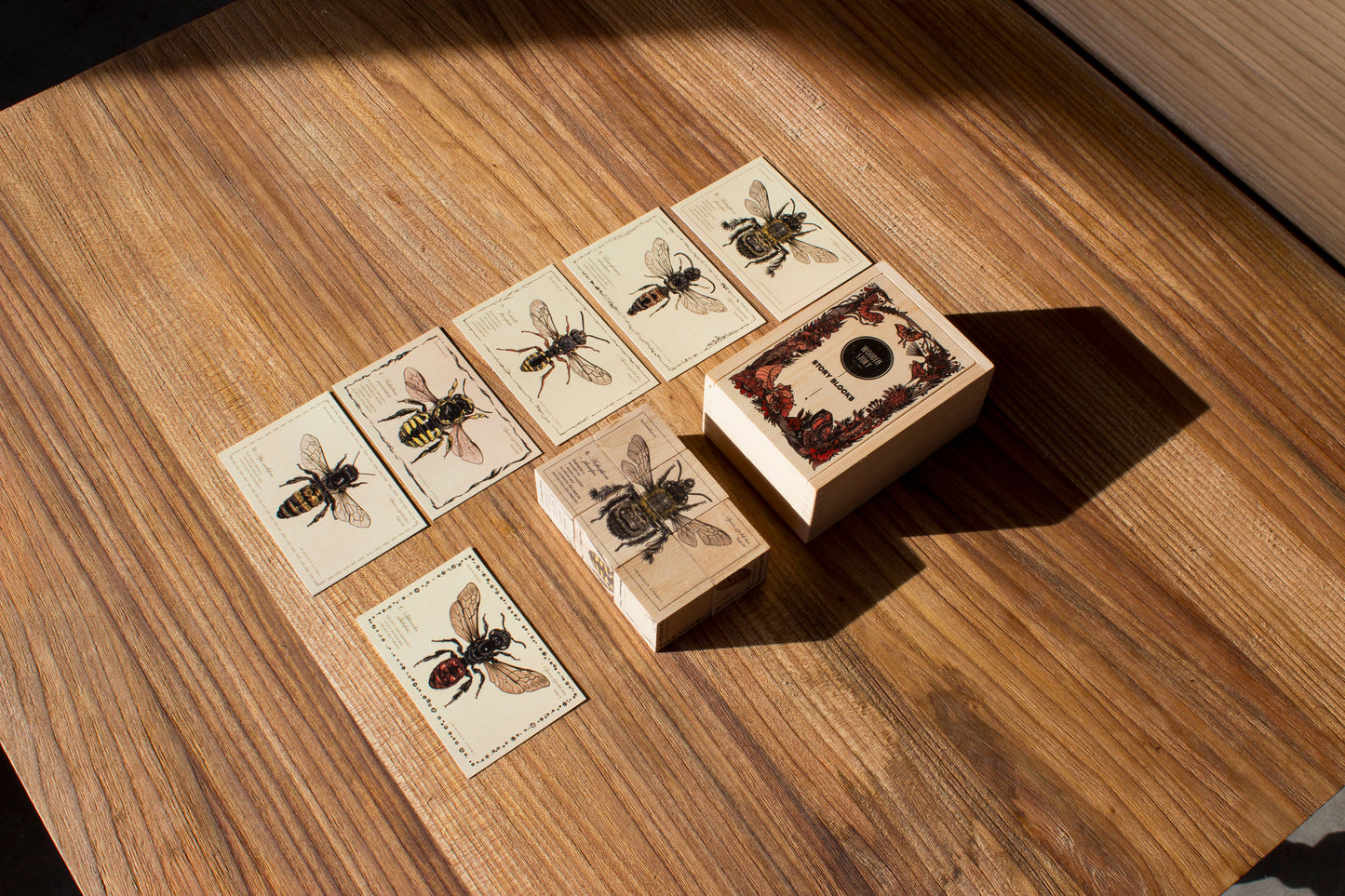 Blocks Species of bees